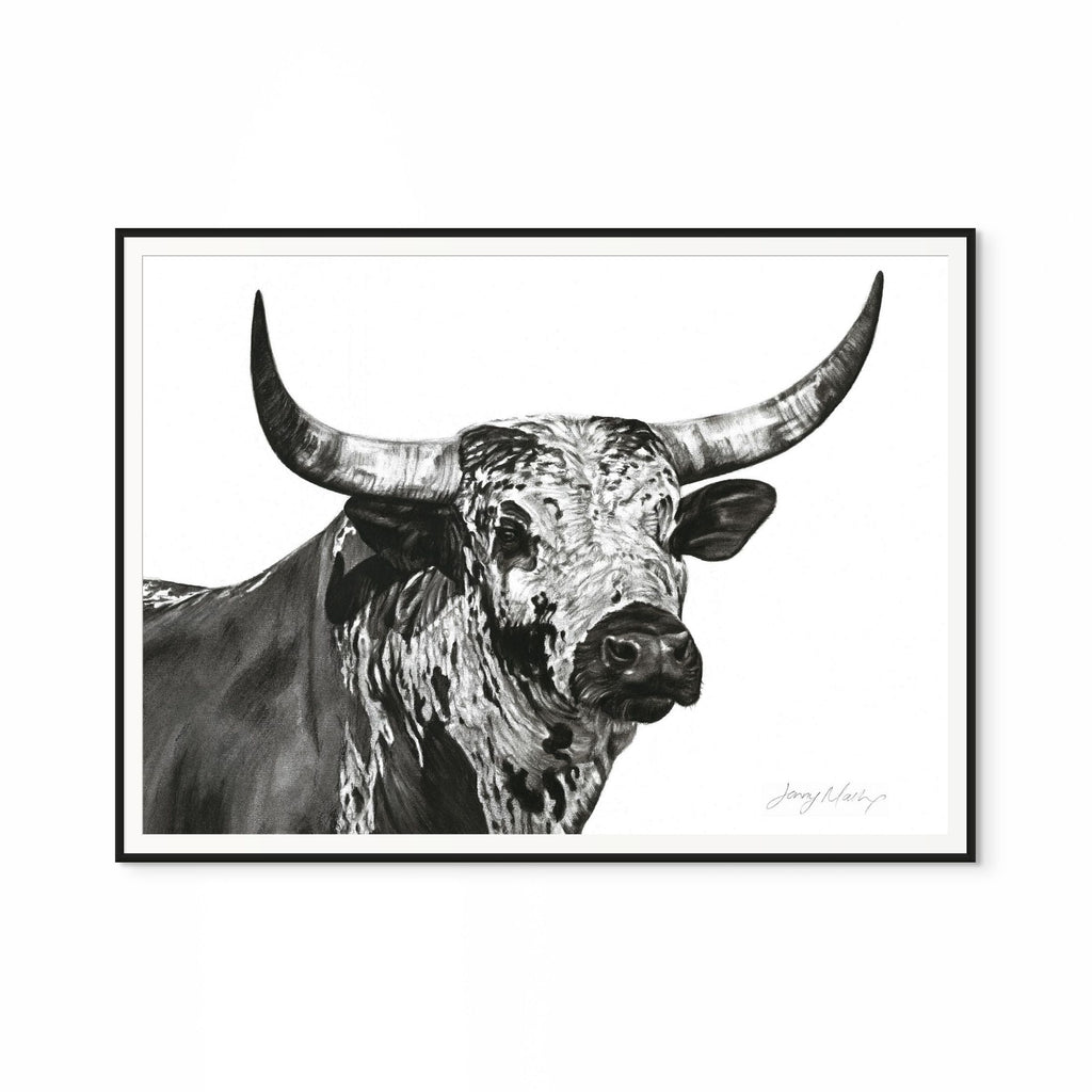 Nguni Bull Head (Landscape) Print