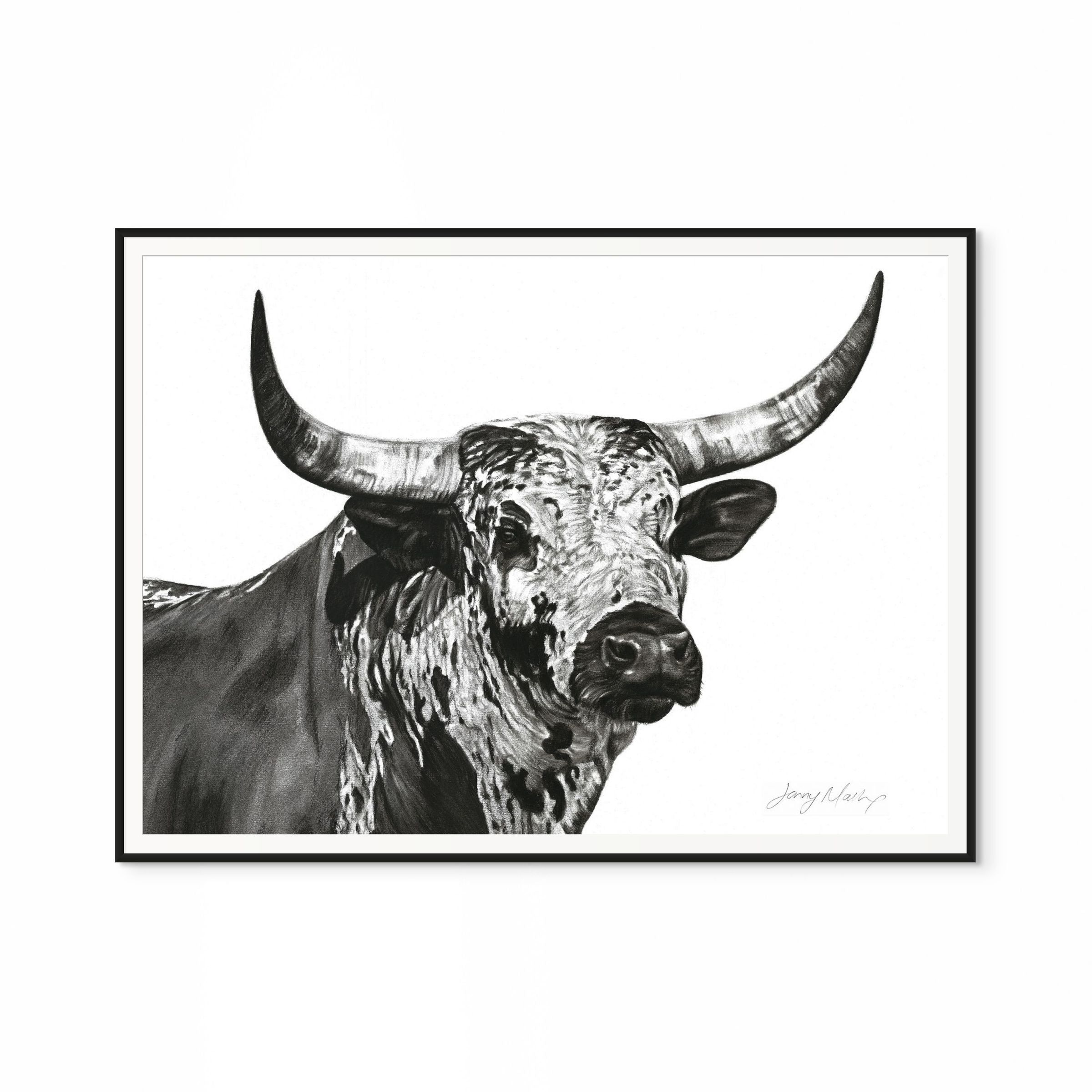 Nguni Bull Head (Landscape) Print