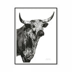 Nguni Bull Head (Portrait) Print