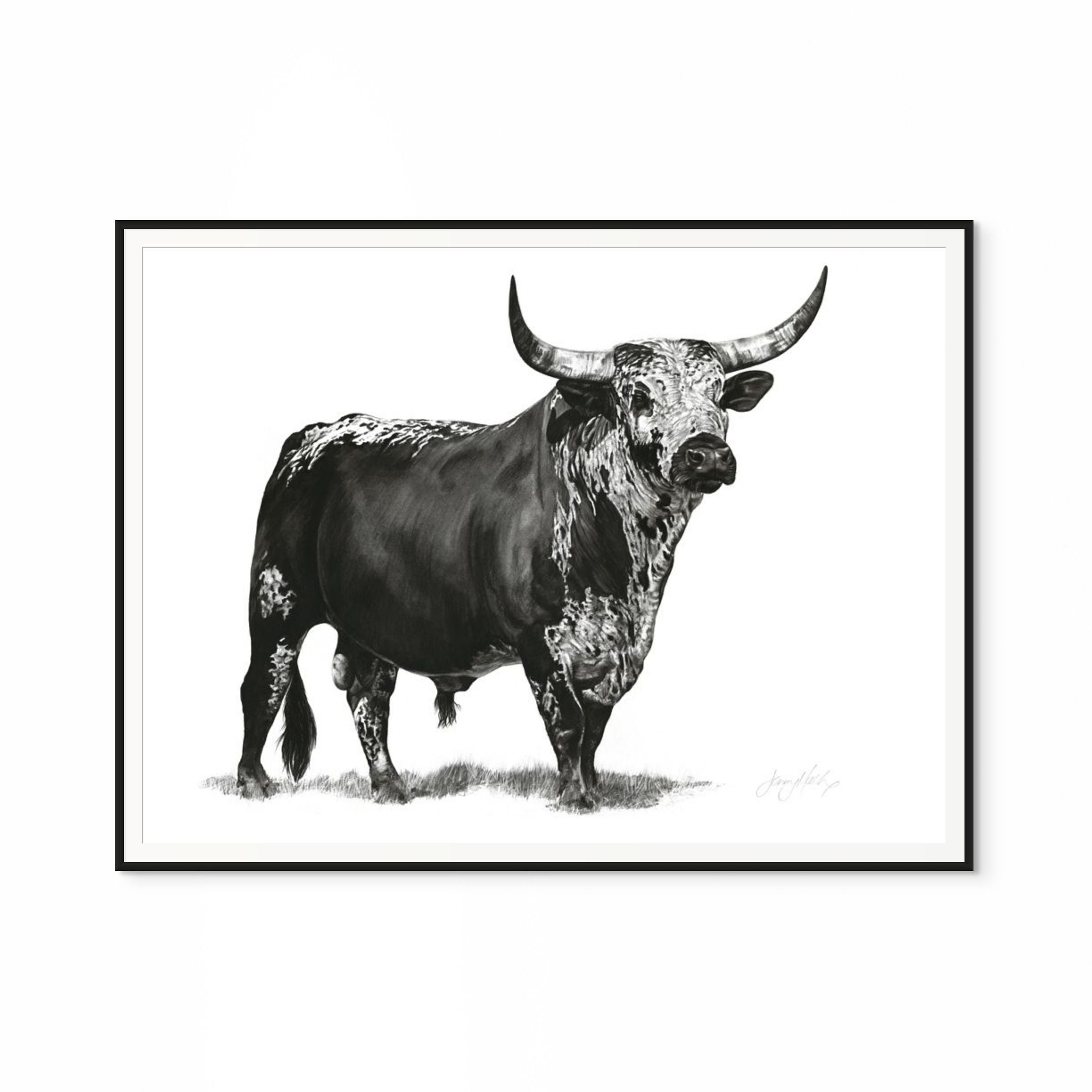 Nguni Bull Print