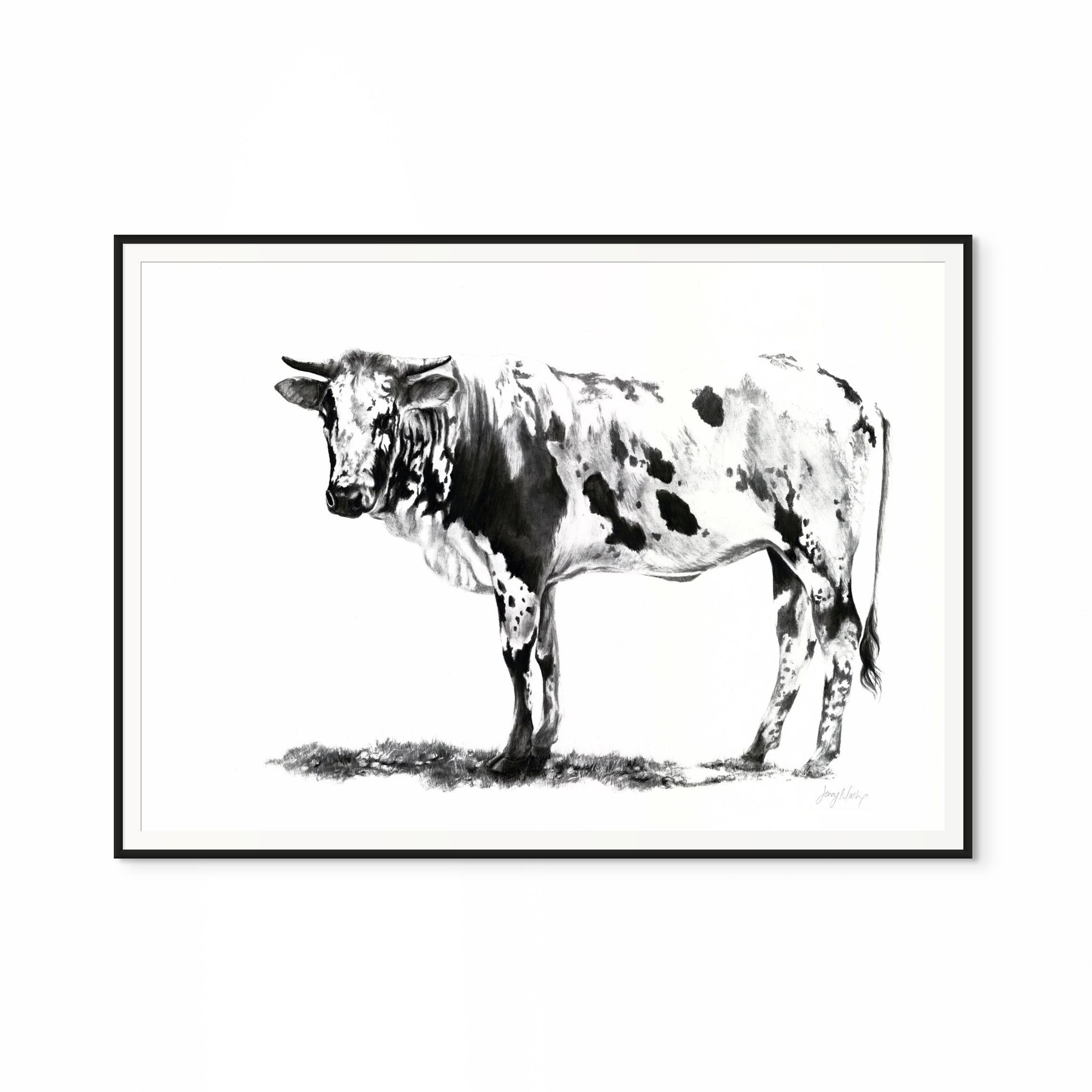 Nguni I Print