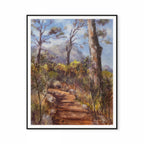 Old Stone Path & Pines In Kirstenbosch Print