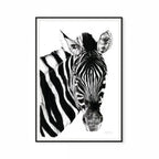 Zebra II Print