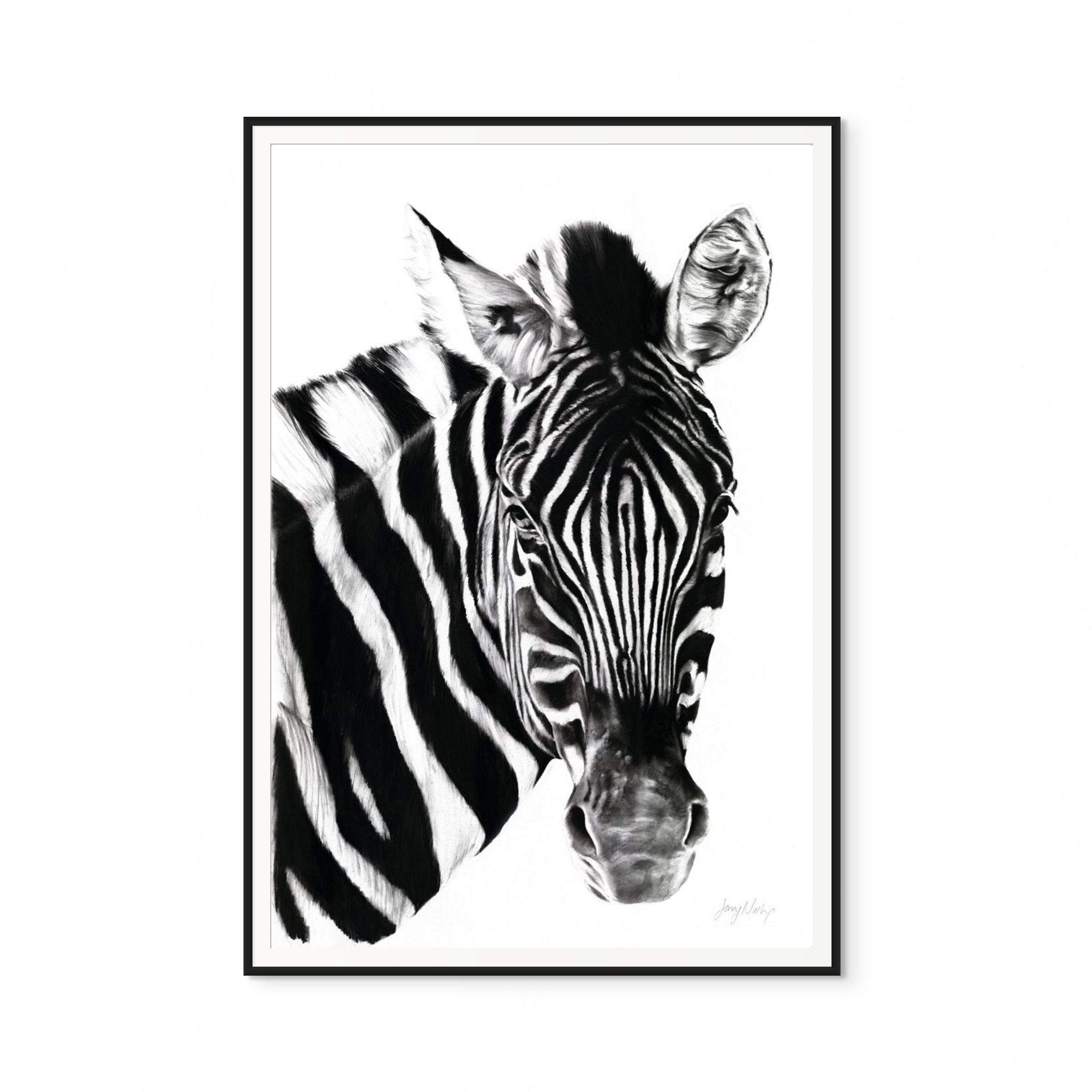 Zebra II Print