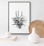 Aloe I Print