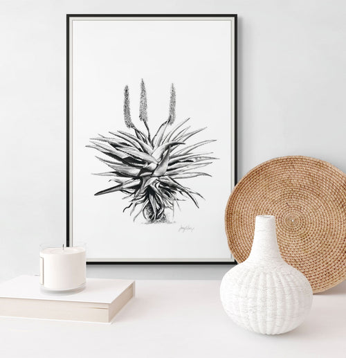 Aloe I Print