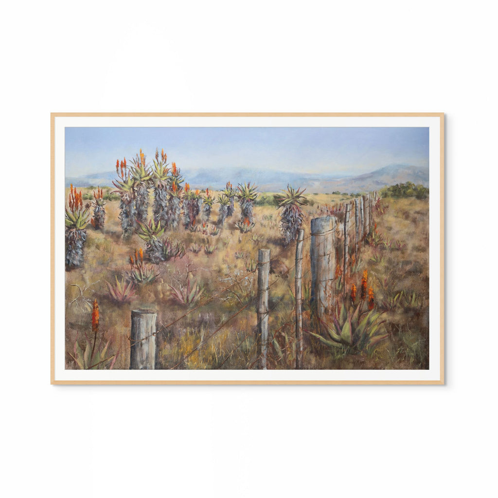 Aloes And Old Fence Print