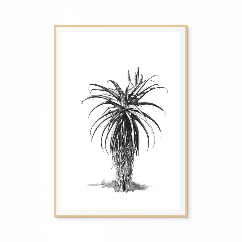 Aloe III Print