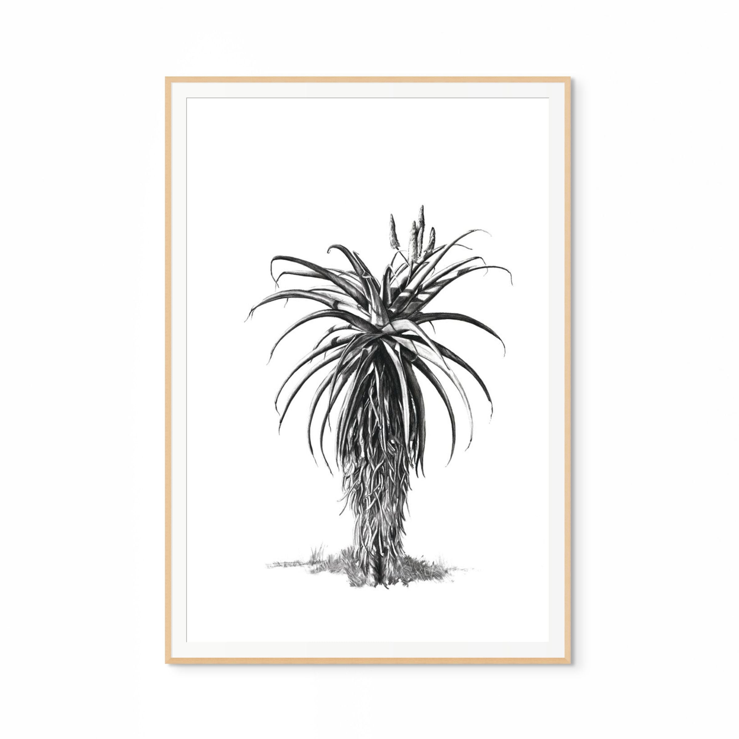 Aloe III Print