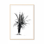 Aloe IV Print