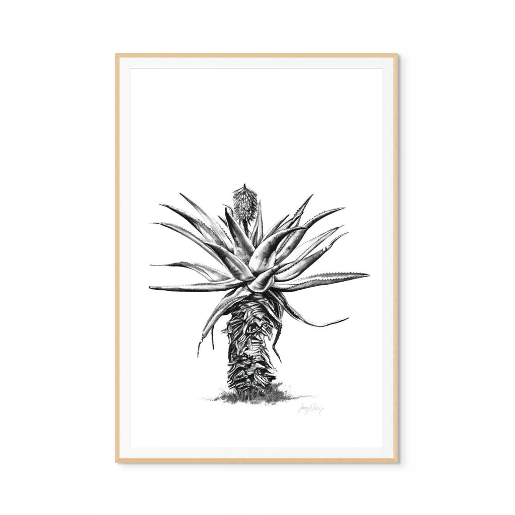 Aloe V Print