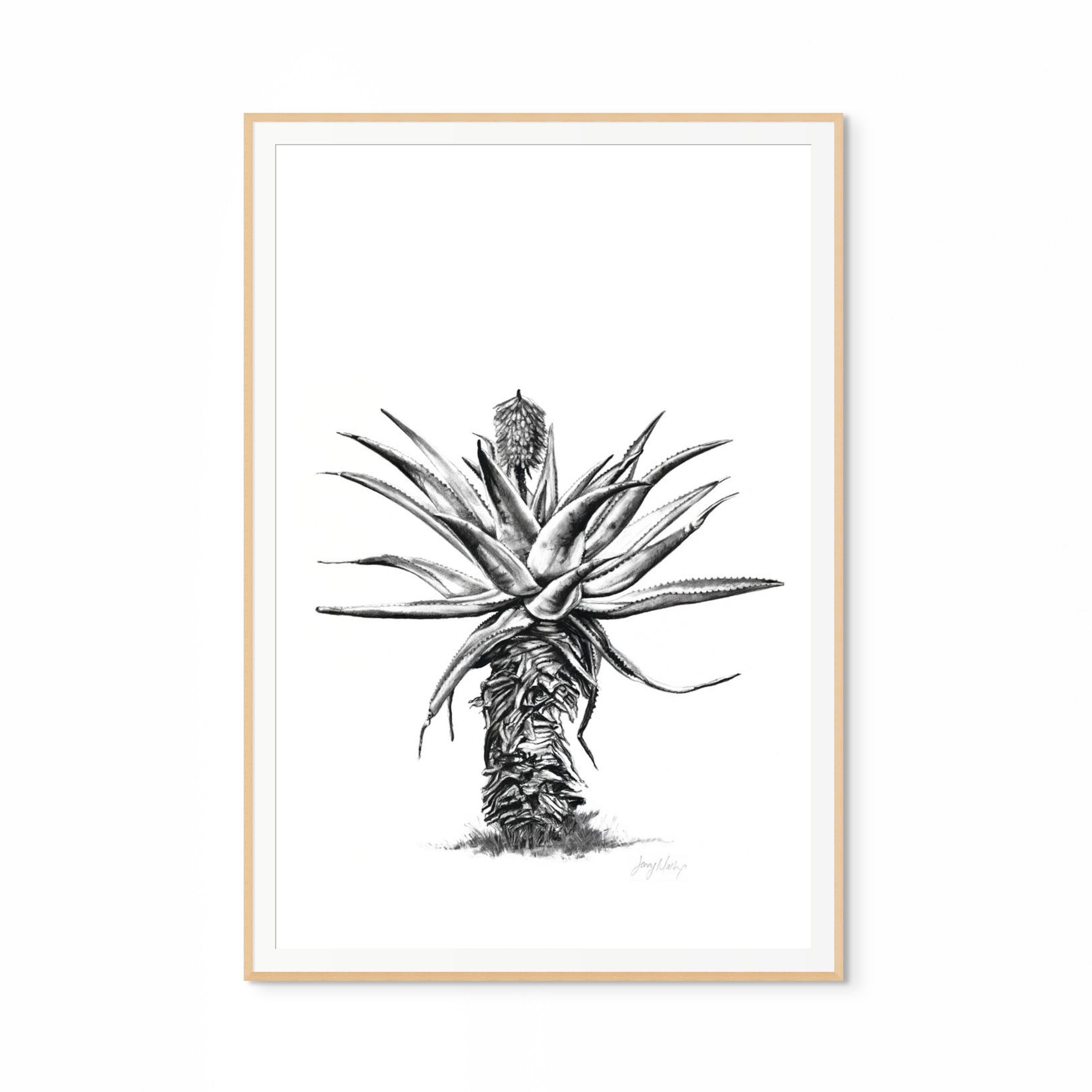 Aloe V Print