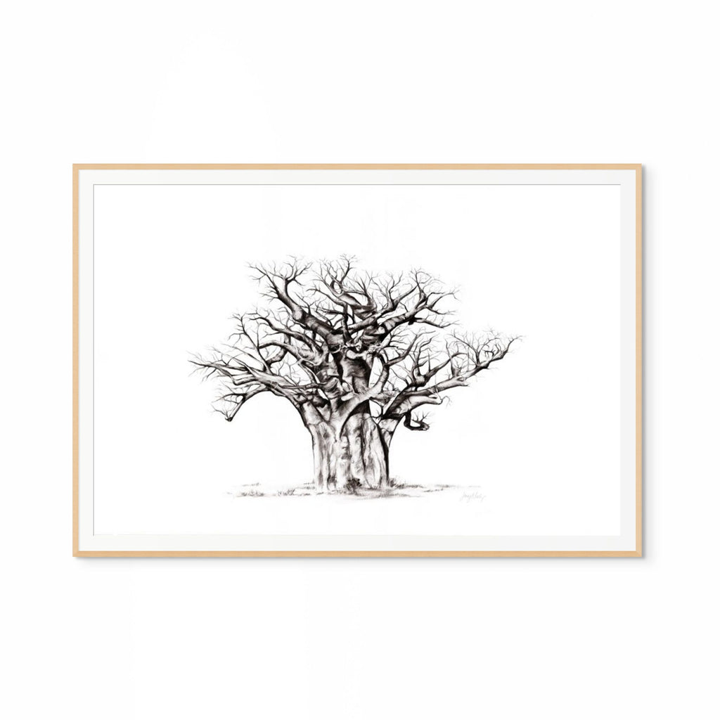 Baobab I Print
