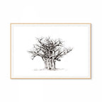Baobab I Print