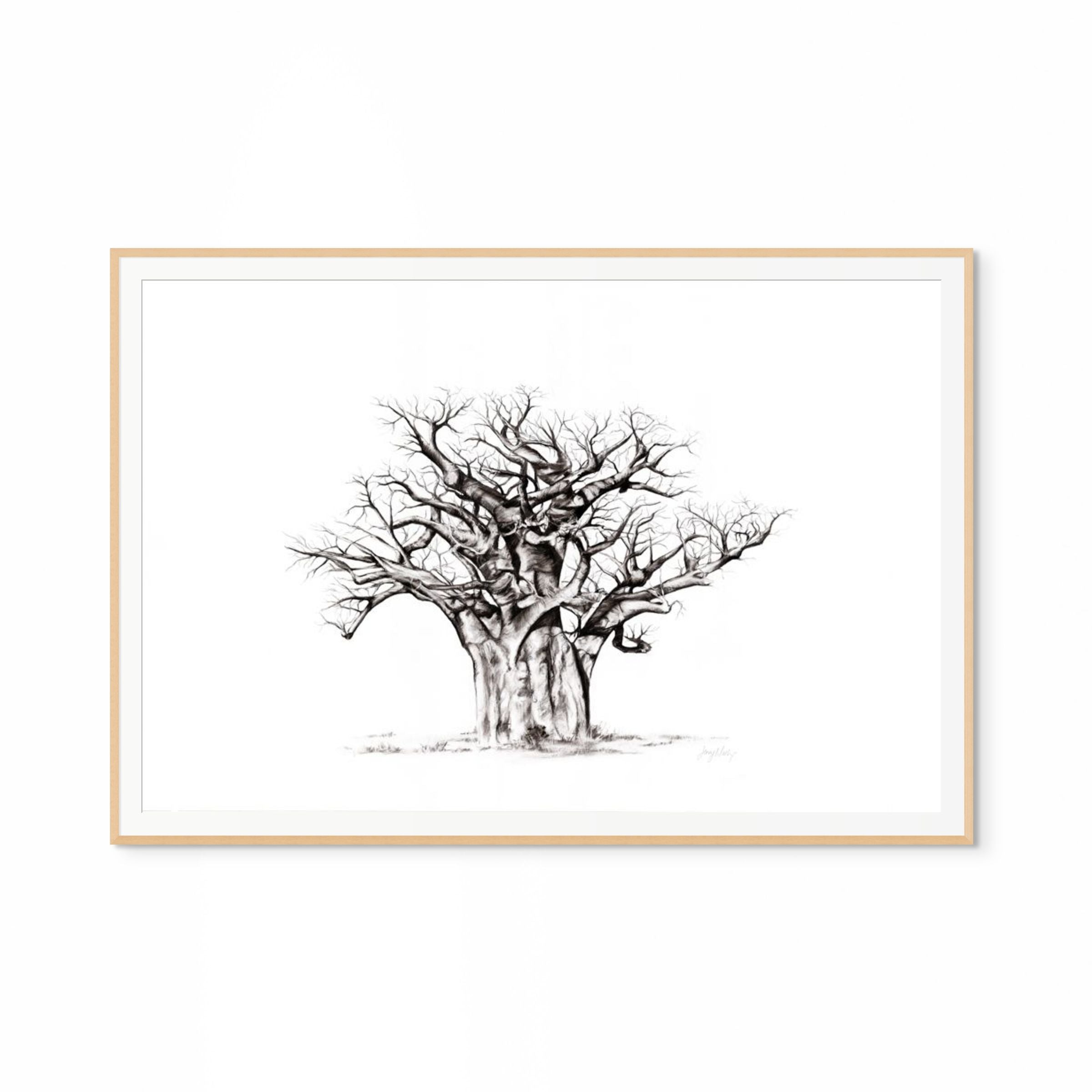 Baobab I Print
