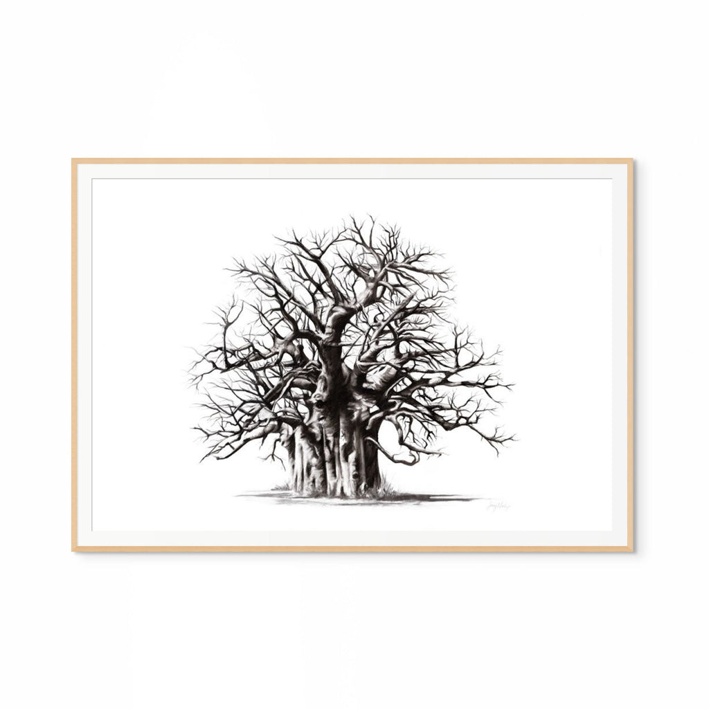 Baobab II Print