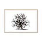 Baobab II Print