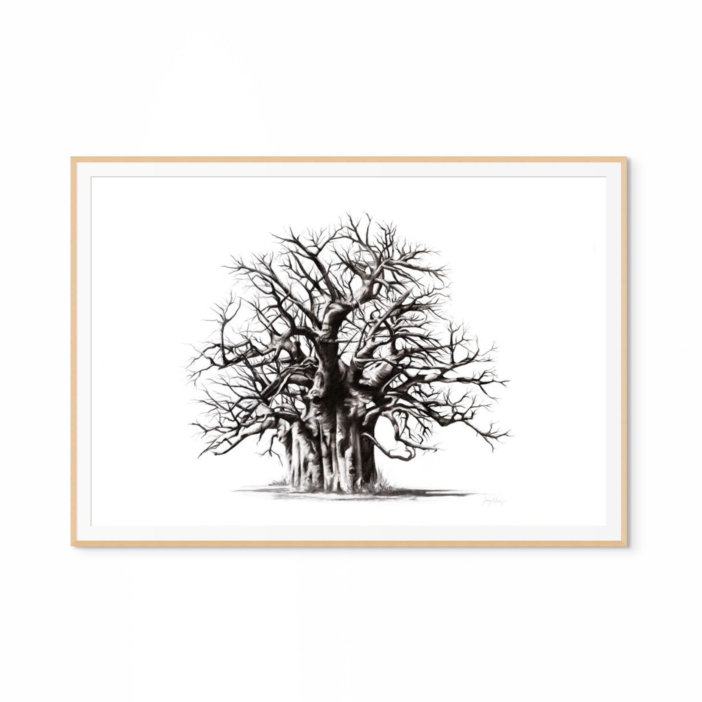 Baobab II Print