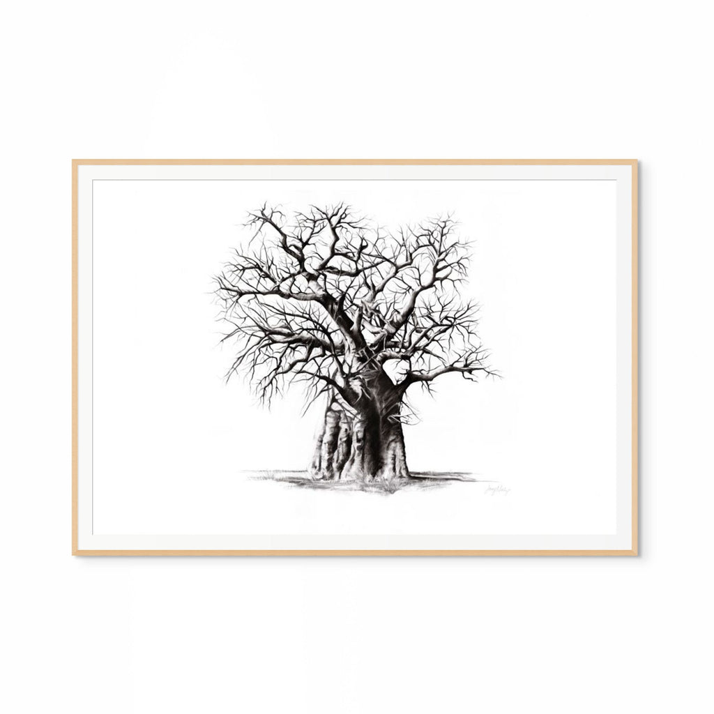 Baobab III Print