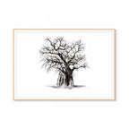 Baobab III Print