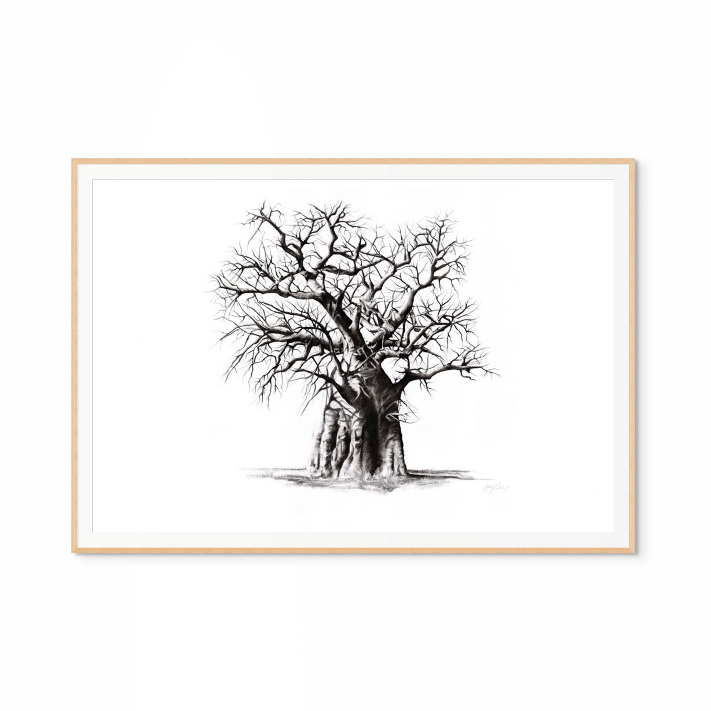 Baobab III Print