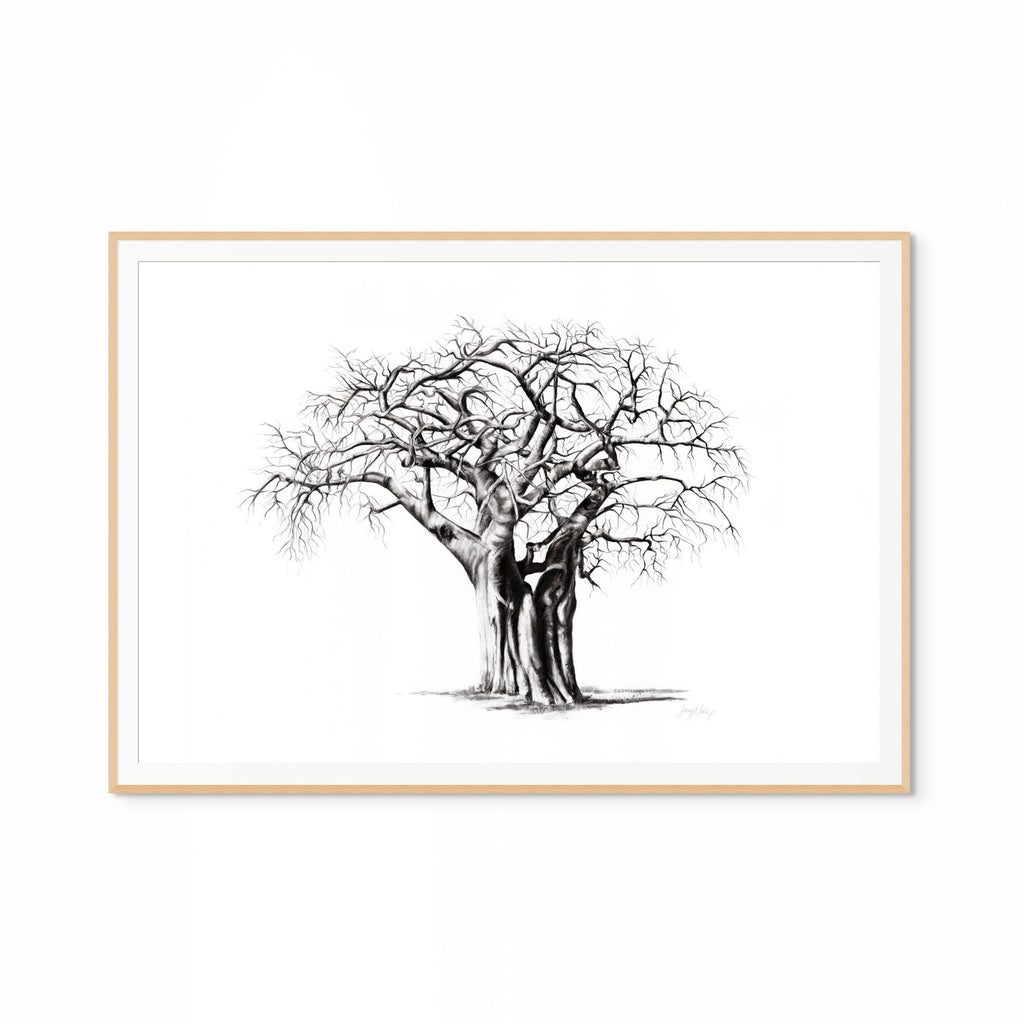 Baobab IV Print