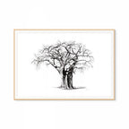Baobab IV Print