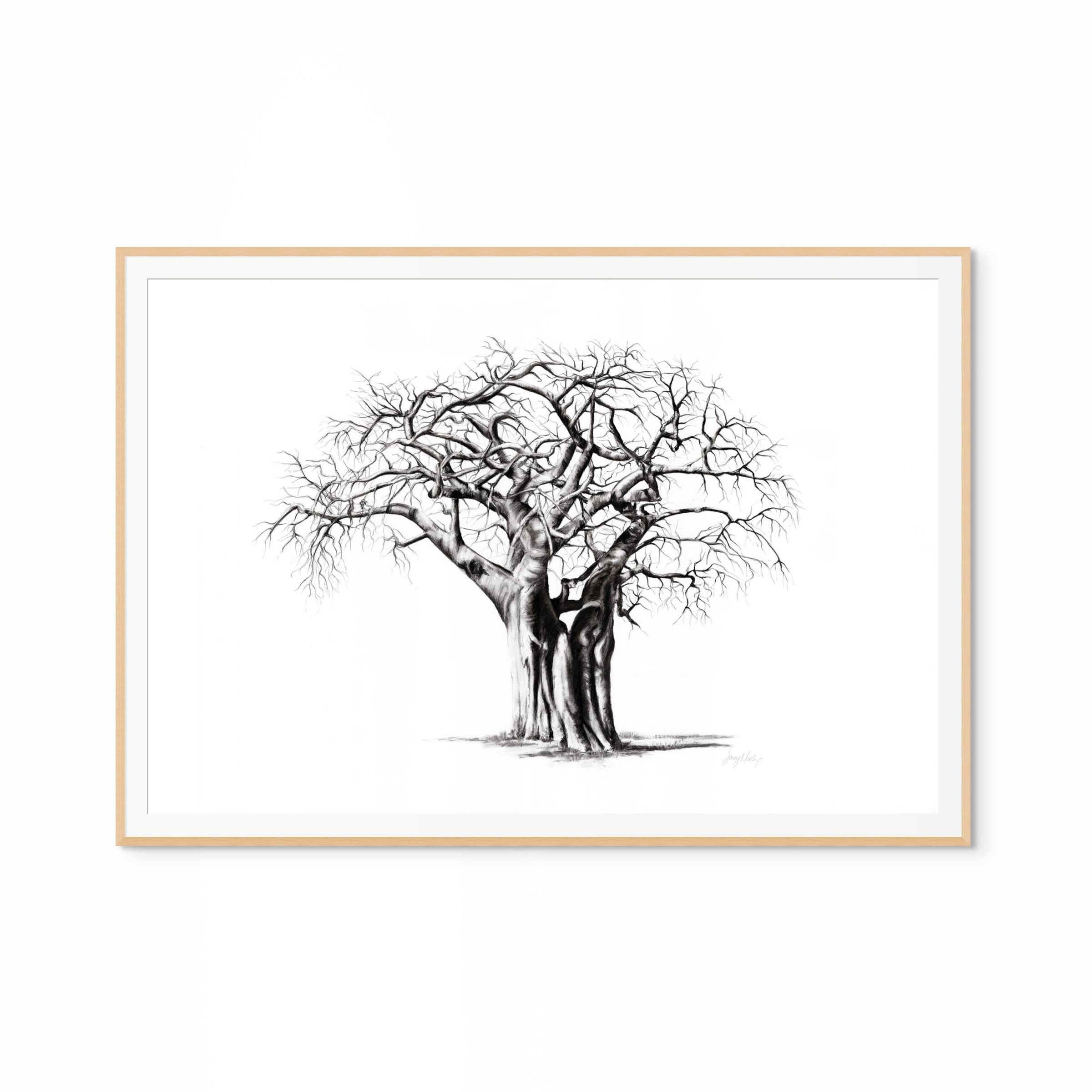 Baobab IV Print