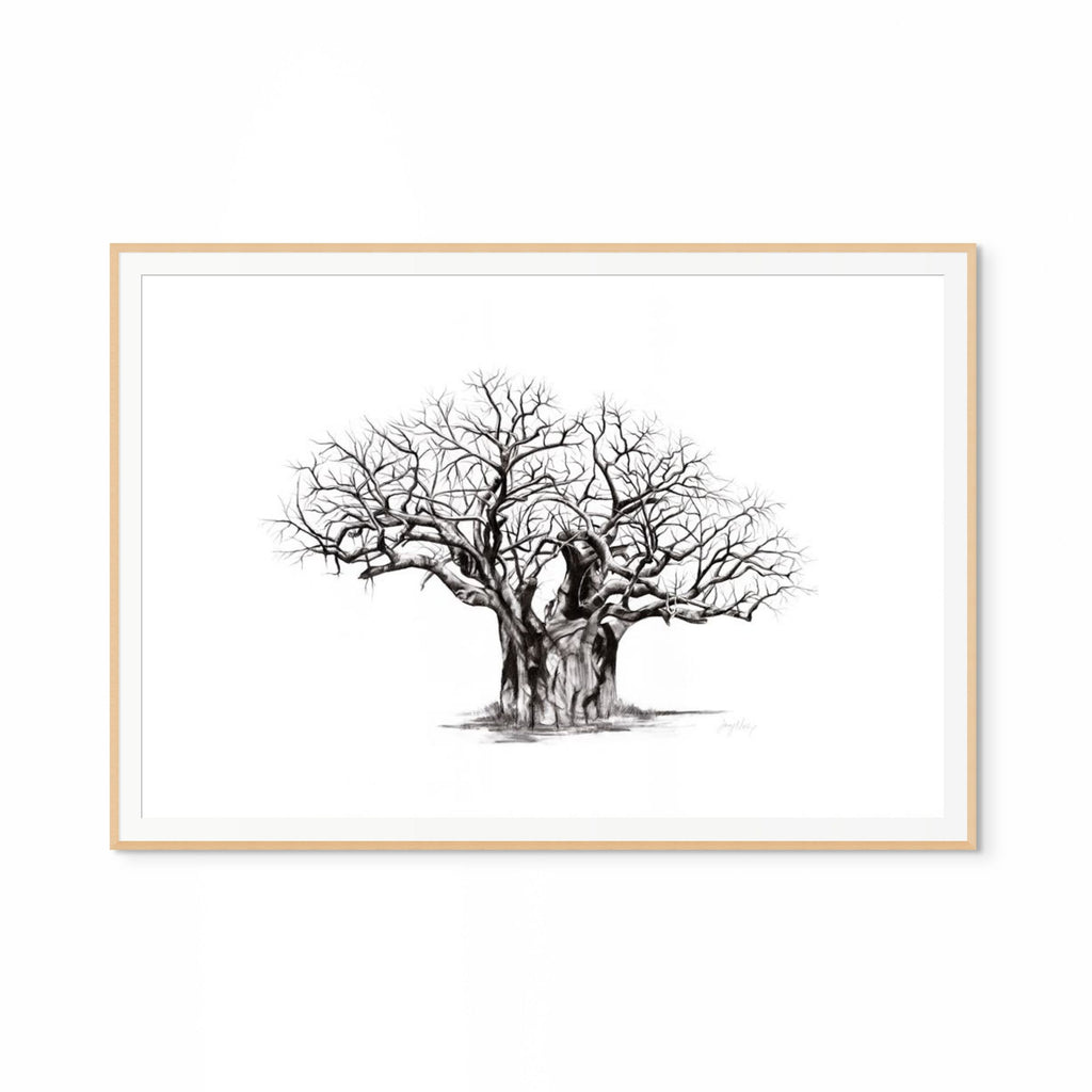 Baobab V Print