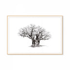 Baobab V Print