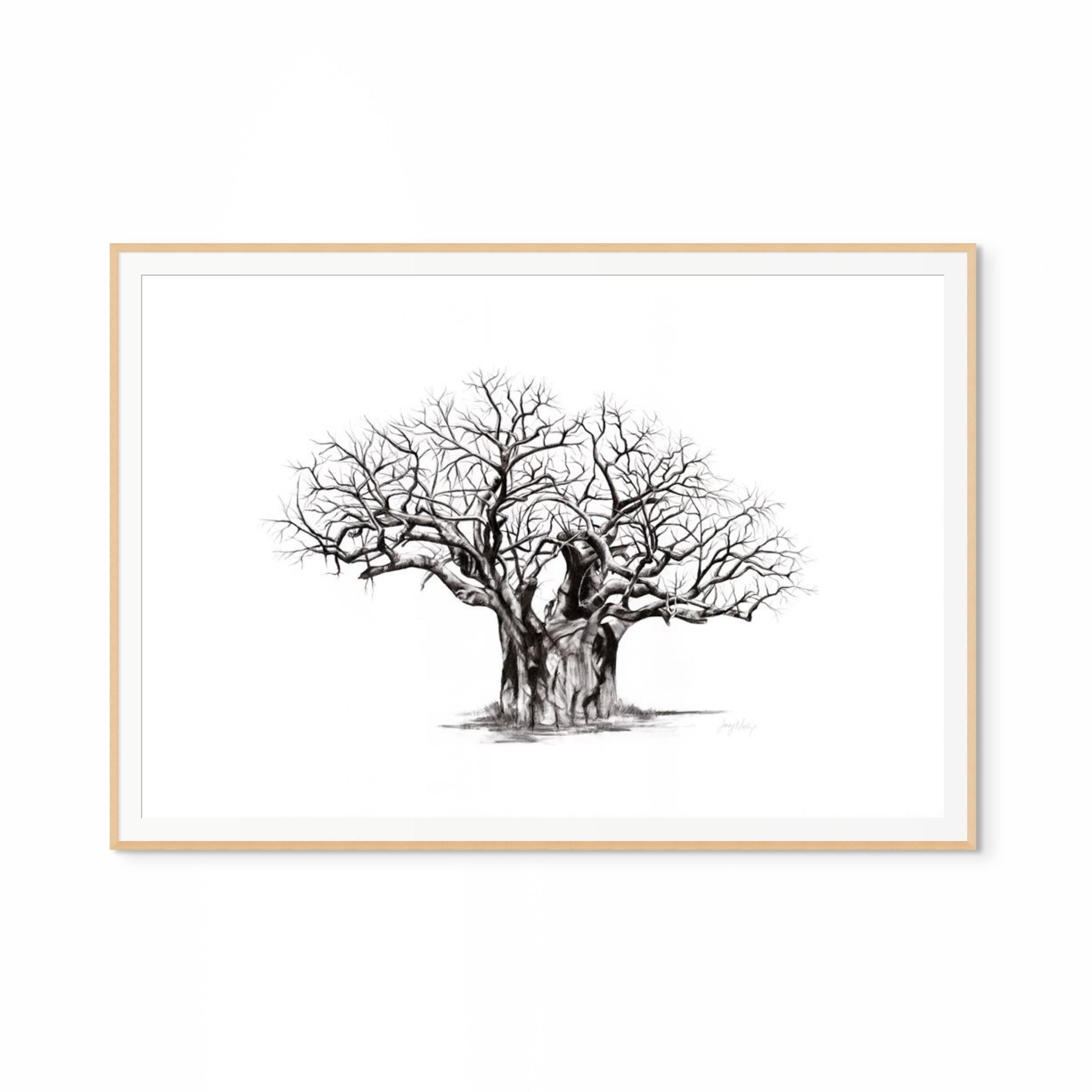 Baobab V Print