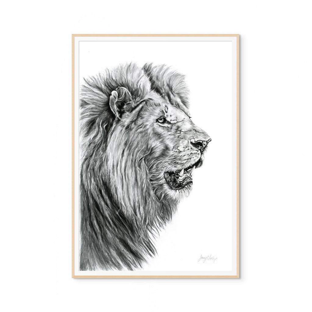 Lion Print