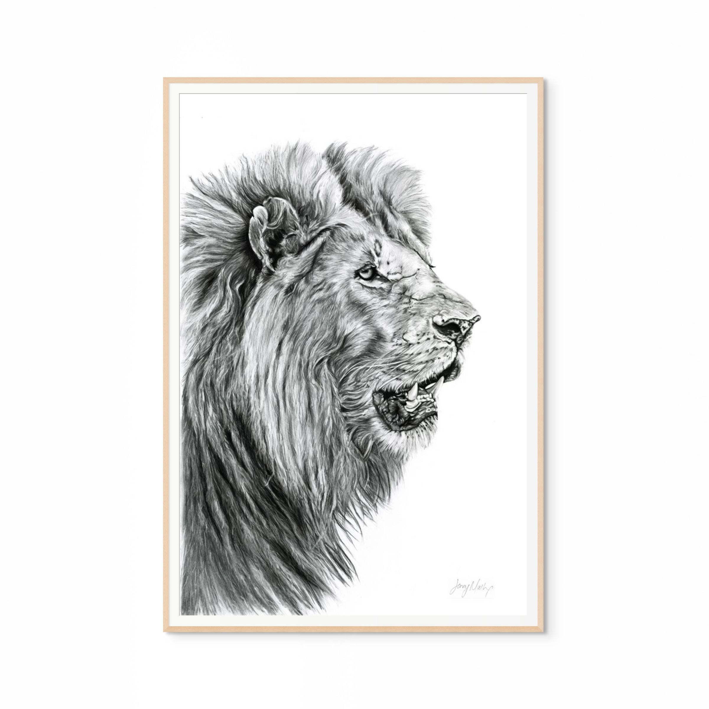 Lion Print