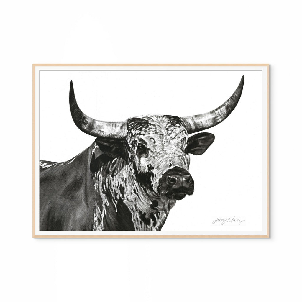 Nguni Bull Head (Landscape) Print