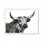 Nguni Bull Head (Landscape) Print