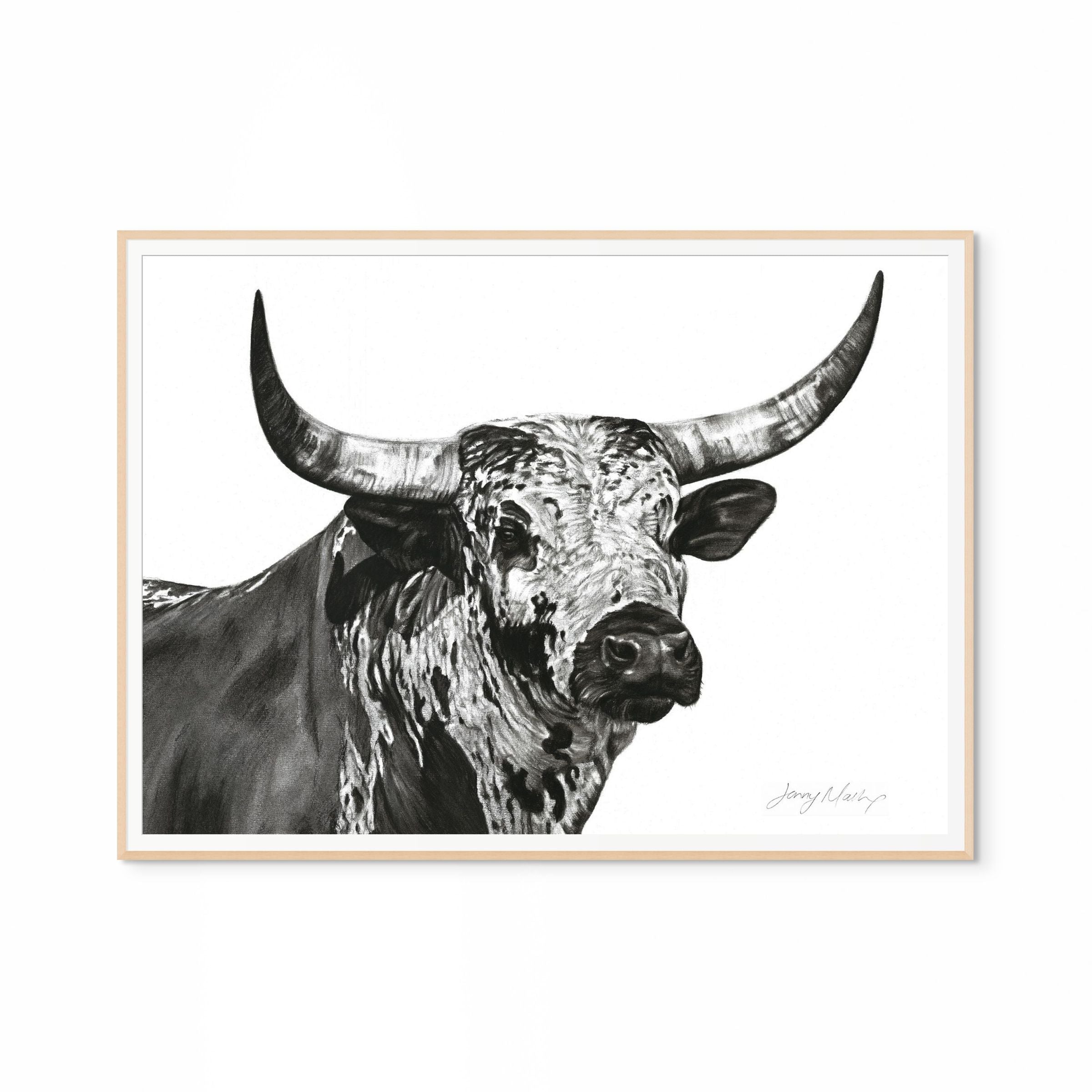 Nguni Bull Head (Landscape) Print