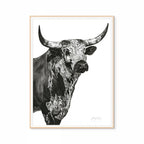 Nguni Bull Head (Portrait) Print