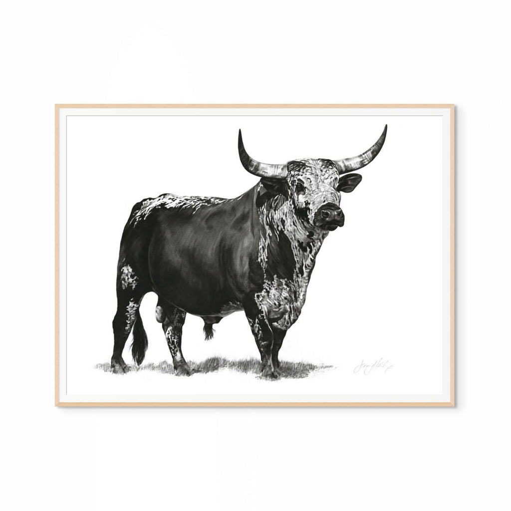 Nguni Bull Print