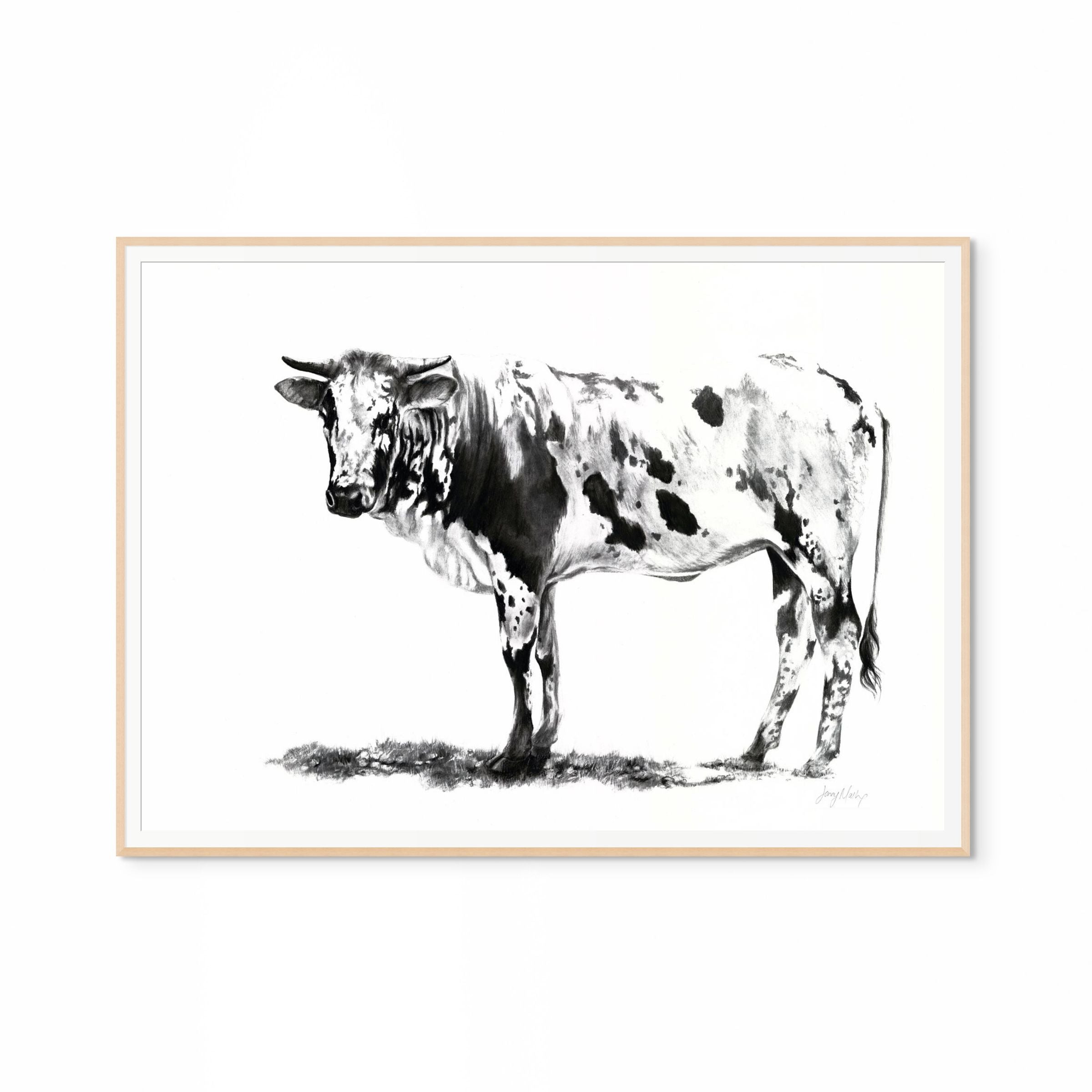 Nguni I Print