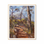 Old Stone Path & Pines In Kirstenbosch Print