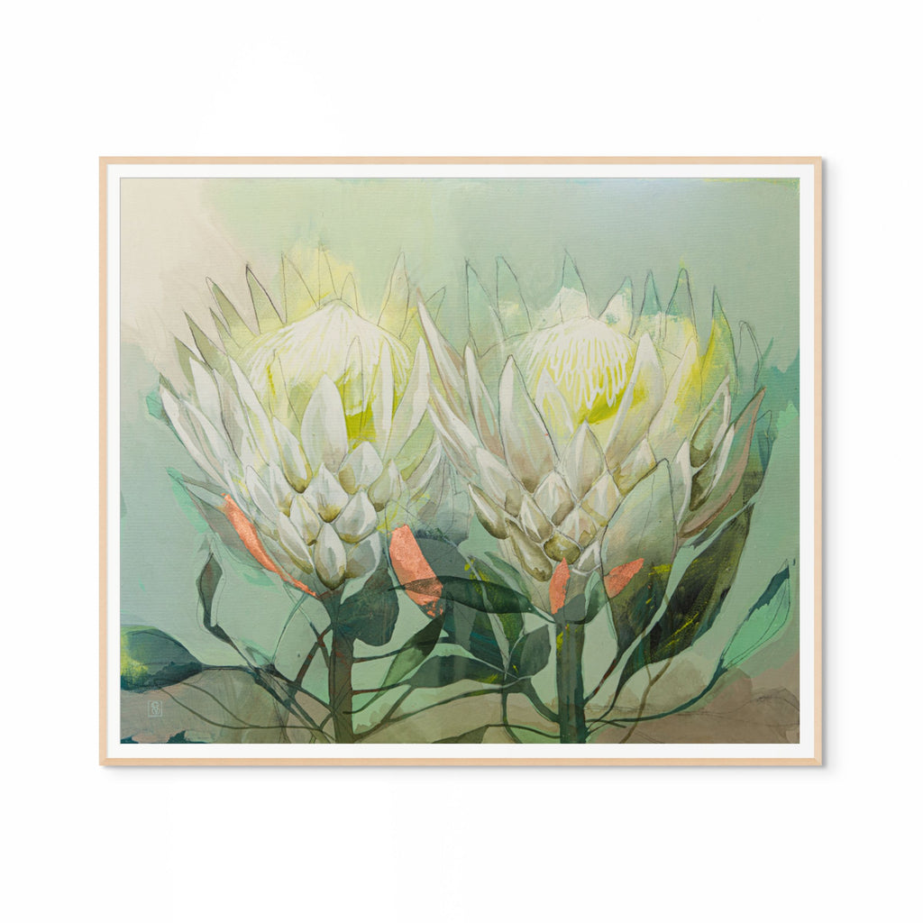 Protea Sisters Print