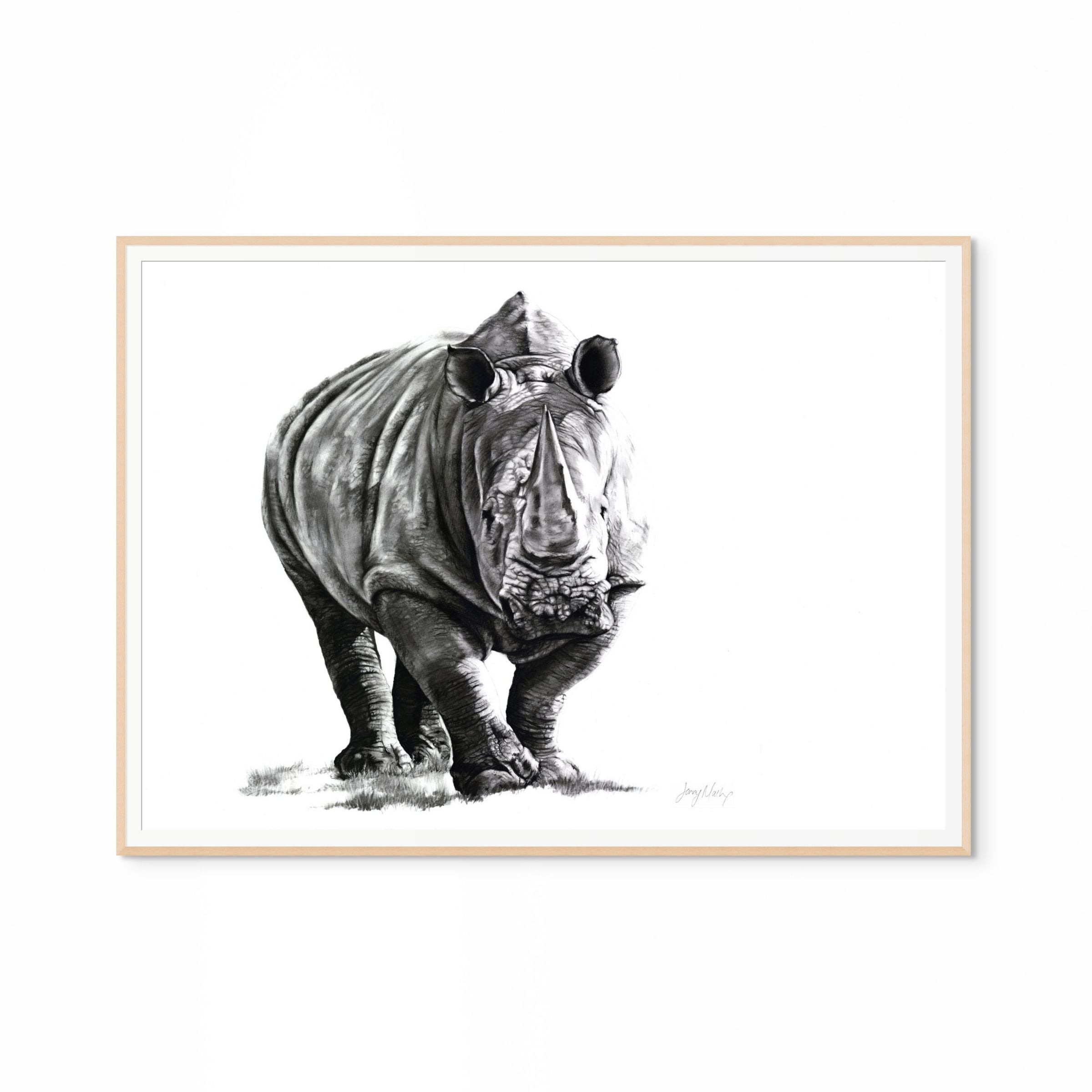 Rhino II Print