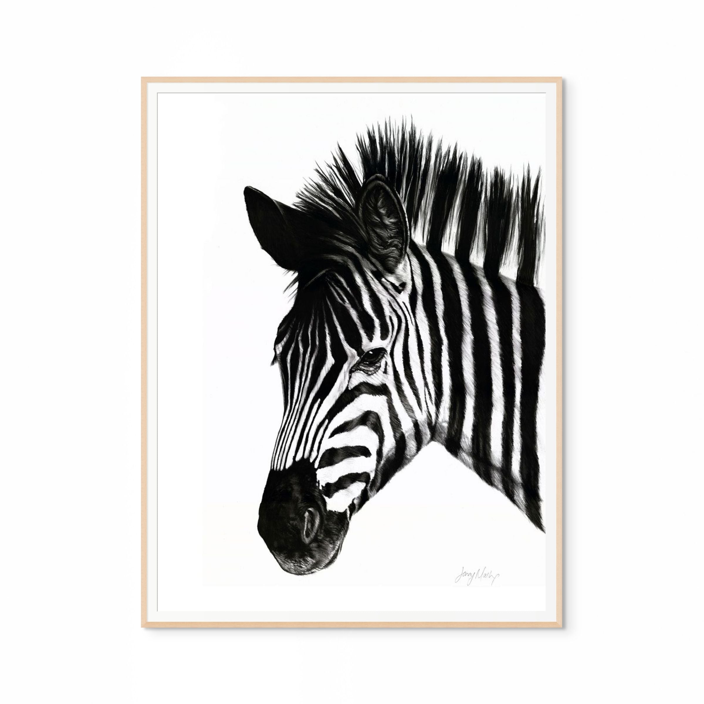 Zebra I Print
