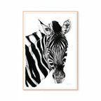 Zebra II Print