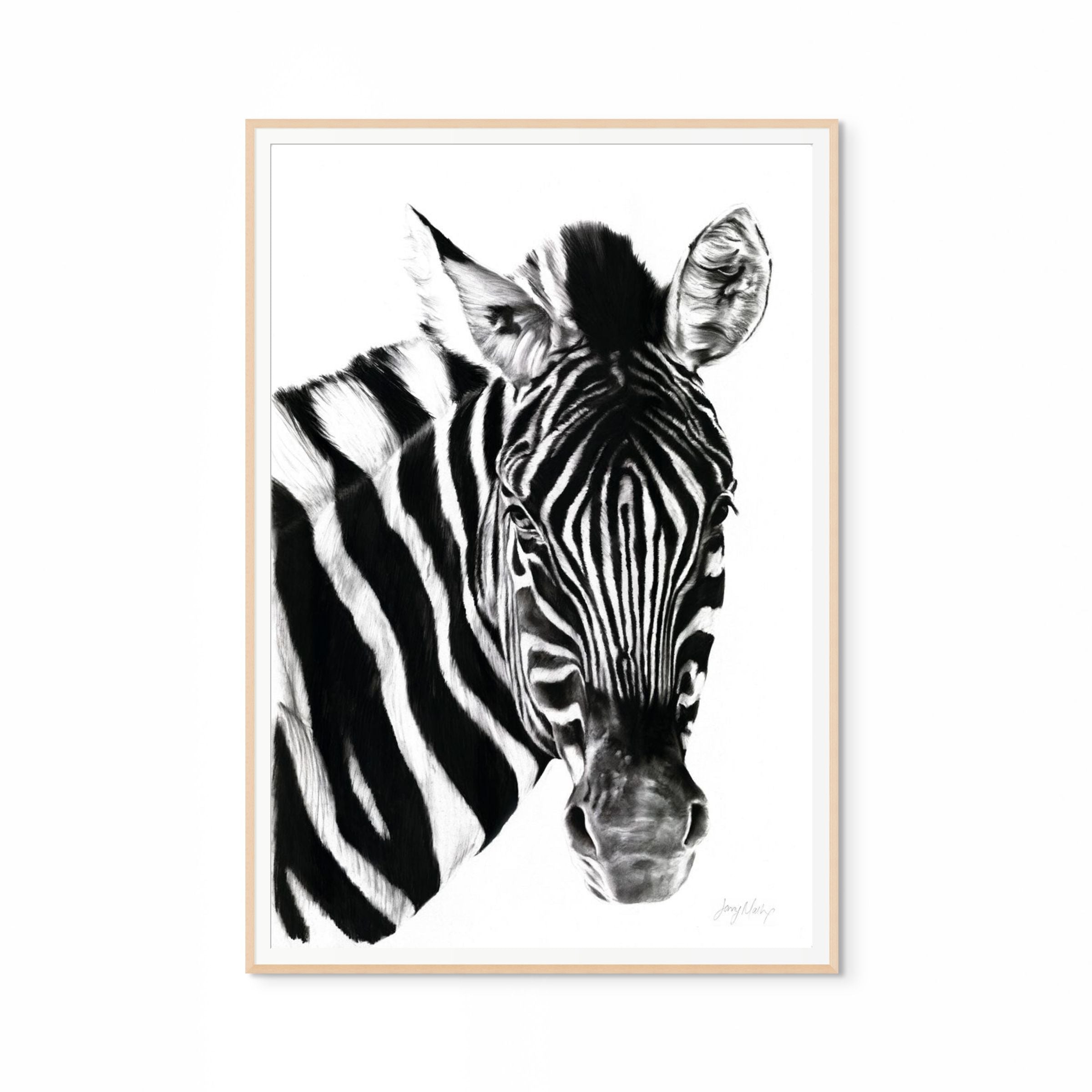 Zebra II Print