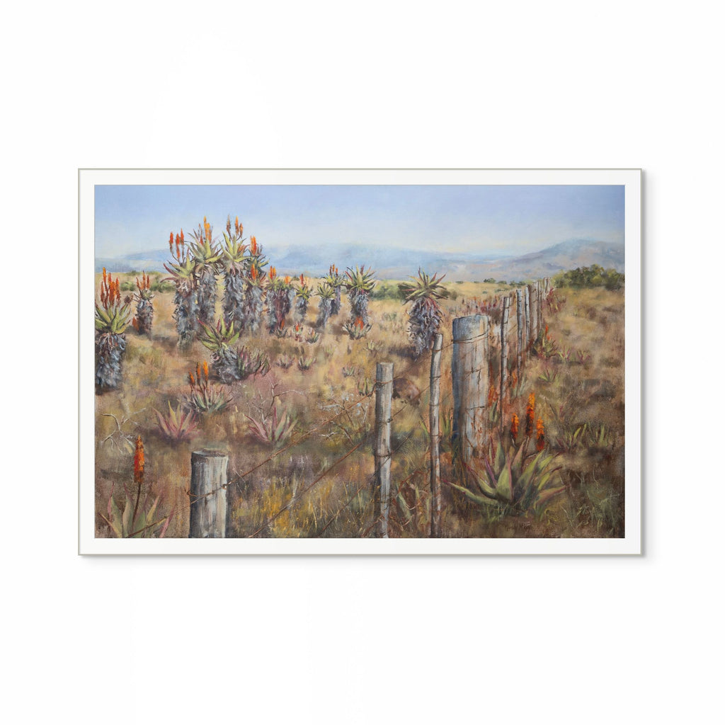 Aloes And Old Fence Print
