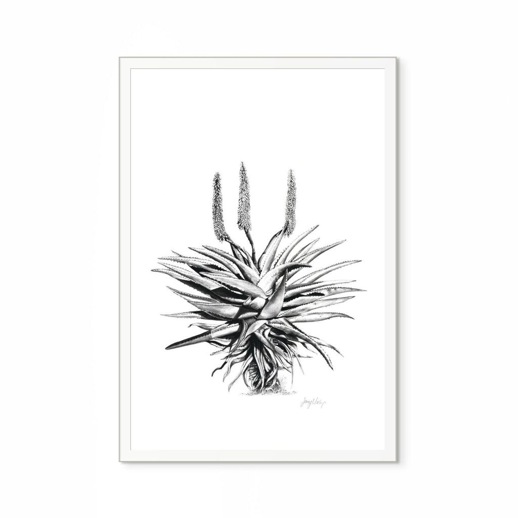 Aloe I Print