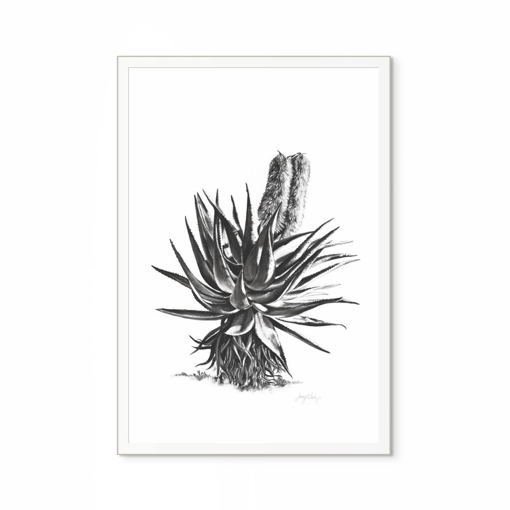 Aloe II Print