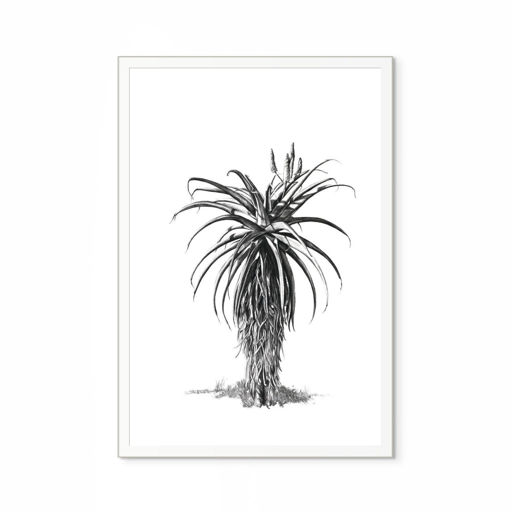 Aloe III Print