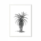 Aloe III Print